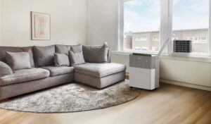 Cozy living room in apartment